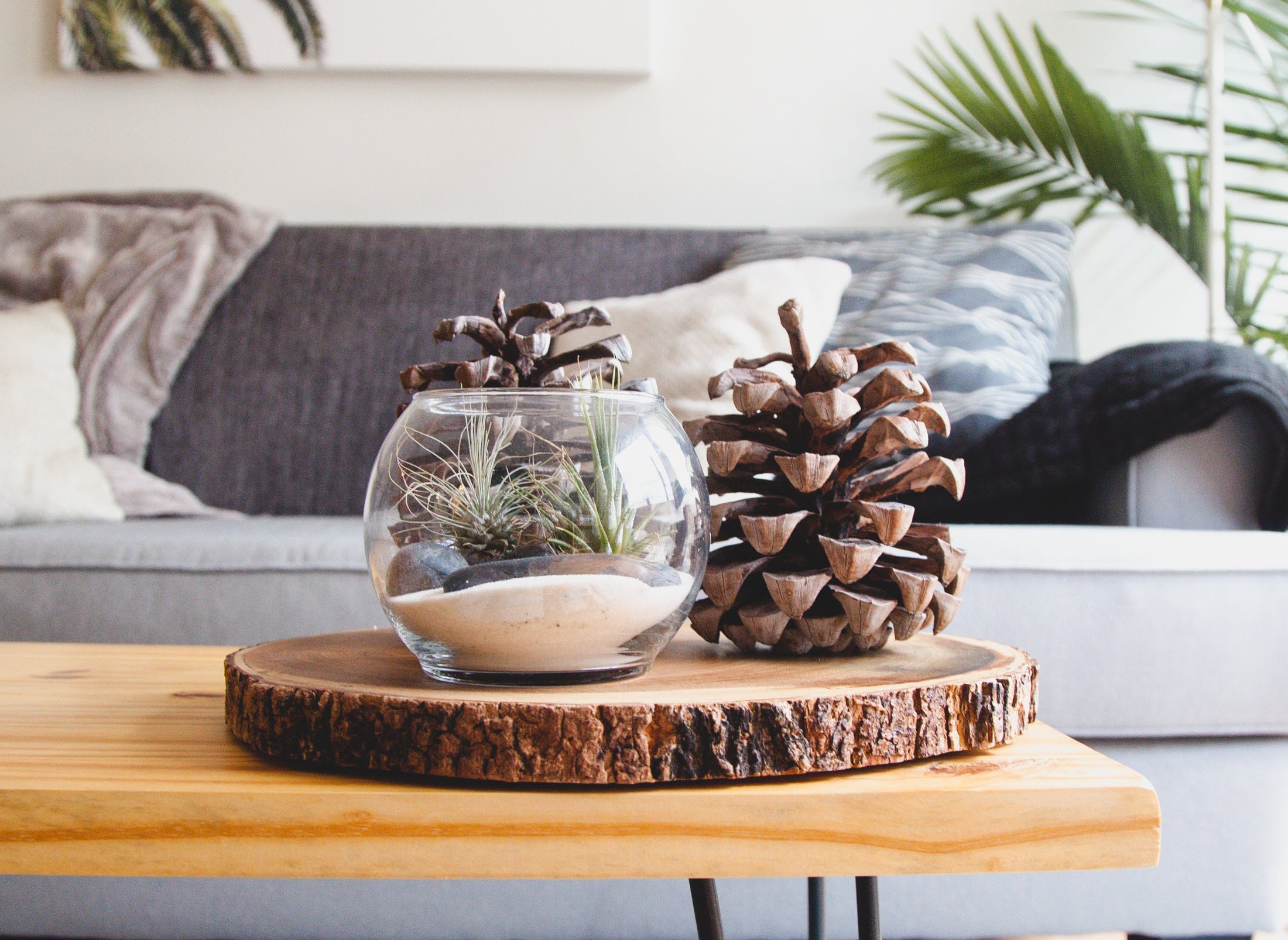 Feng Shui 101: How to Harmonize Your Home in the New Year