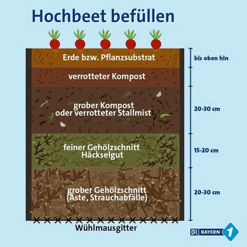 Hochbeet befüllen: Diese Schichten kommen in ein Hochbeet | BR.de