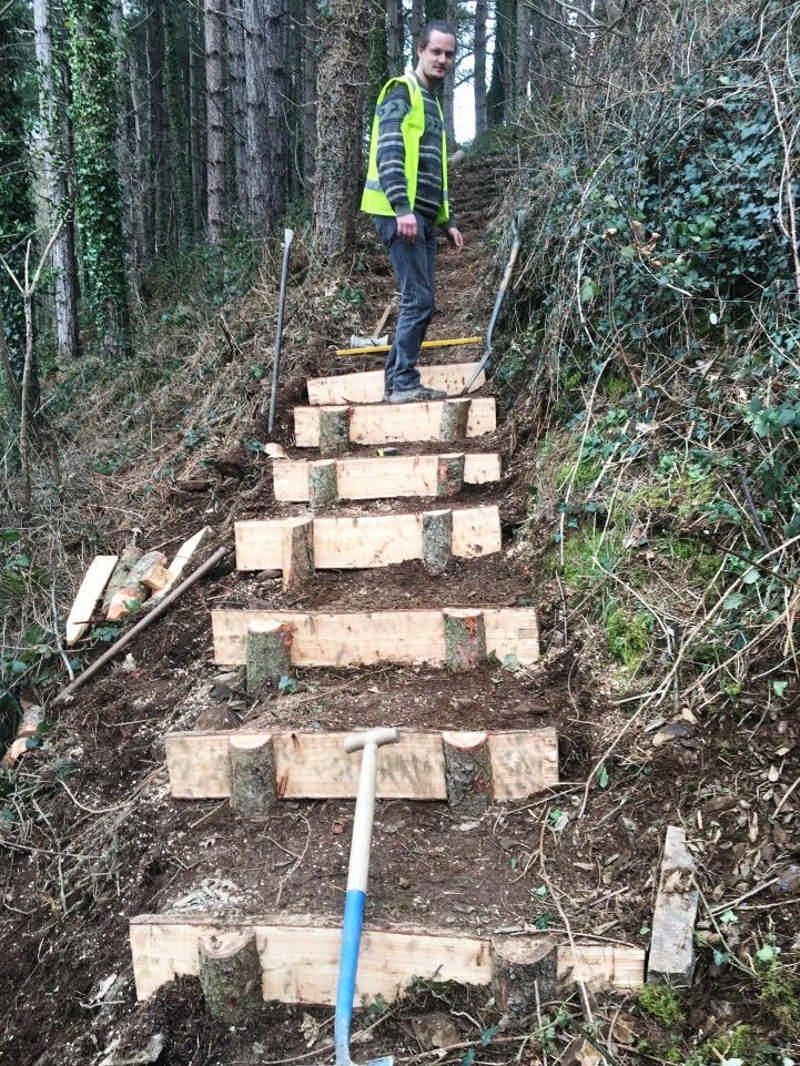 Ceredigion Sustainable Woodland Management Course - Halfway update!