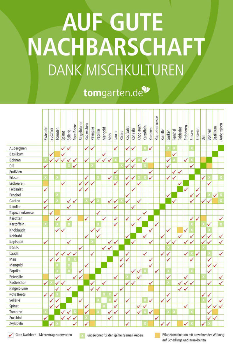 Ernteerfolg dank Mischkultur