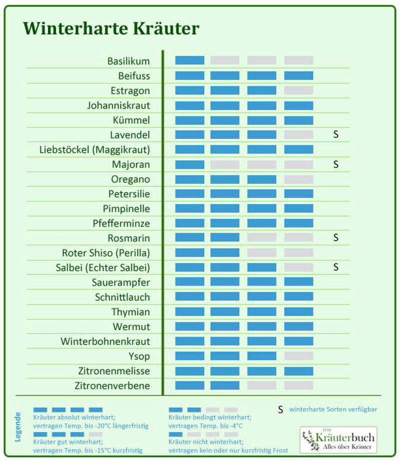 winterharte Kräuter | Wintergemüse anbauen, Winterfest machen, Winterharte kräuter