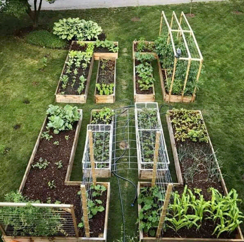 36 Amazing Ideas For Growing A Vegetable Garden In Your Backyard