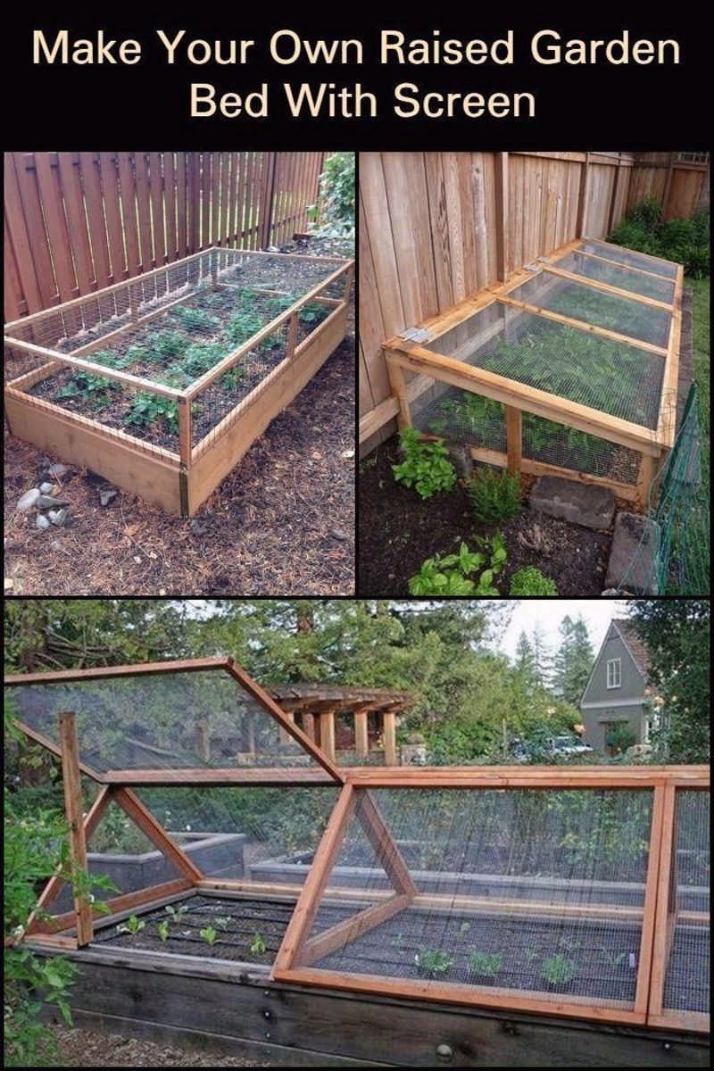 Make your Own Raised Garden Bed with Screen | The garden!