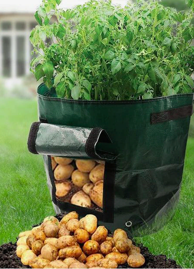 ASYOU 2 Pack 7 Gallon Garden Potato Grow Bag