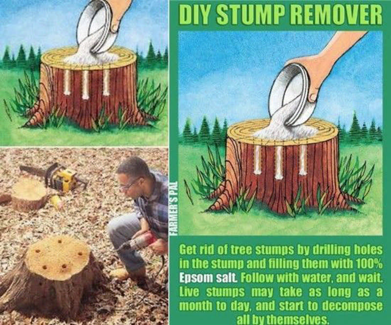 Remove a Tree Stump Tutorial