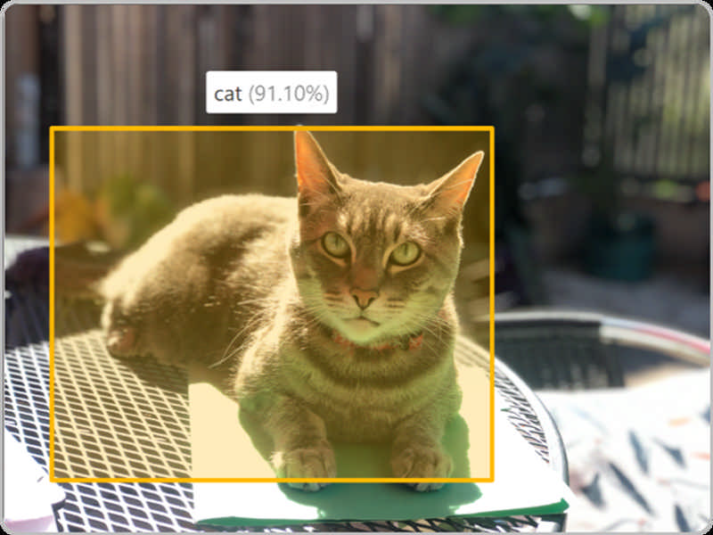 Picture of a cat. The cat is highlighted with a box to demonstrate object detection technology, and a small box next to the cat displays “cat” with a confidence score of 91.10%
